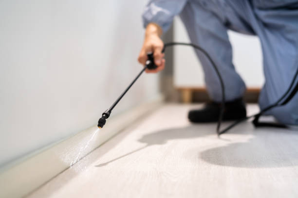 Professional exterminator conducting IPM assessment in Audubon