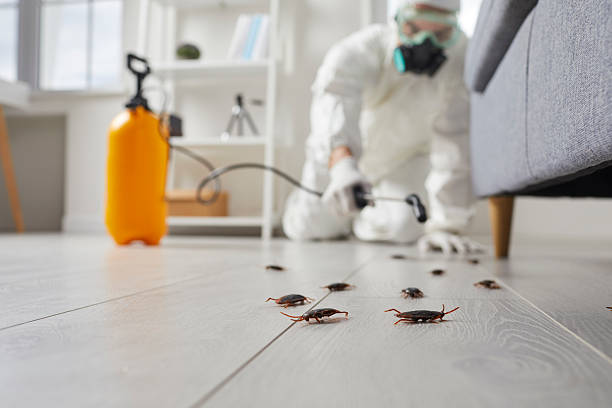 Post-Treatment Bed Bug Interceptor Monitoring in Audubon