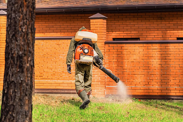 Bed Bug Clearance Verification and Documentation in Audubon